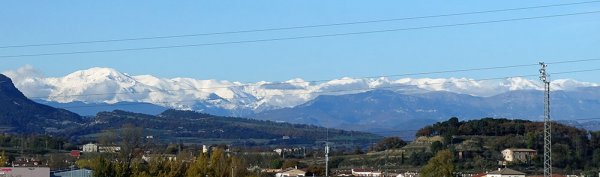 Pyrenéer.jpg Pyrenéer.jpg