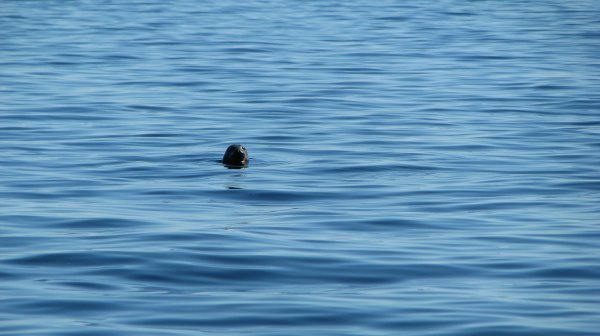 IMG_7889.JPG IMG_7889.JPG