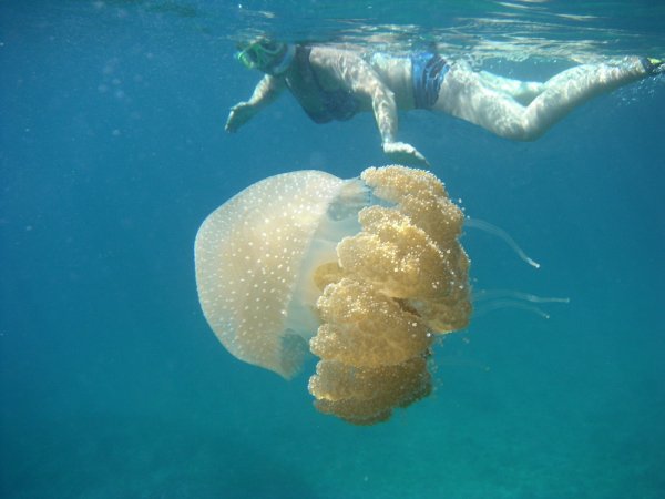 040914 004Lefkas.jpg