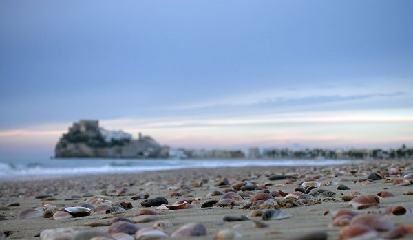 snäckor.jpg snäckor.jpg