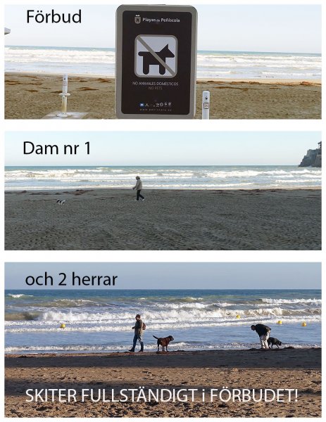 vilda västern.jpg vilda västern.jpg