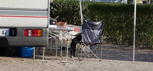 middag serverad.JPG middag serverad.JPG