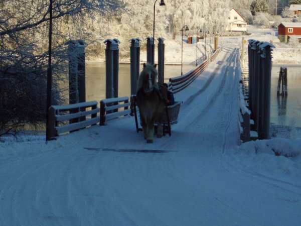 PC040002.JPG PC040002.JPG