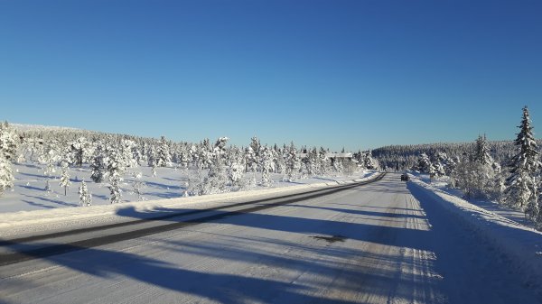 2016-11-12 11.01.46.jpg