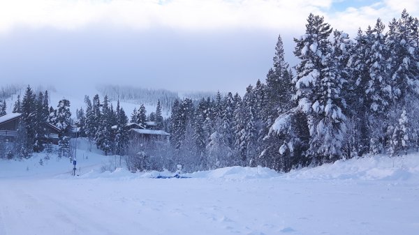 2016-11-13 12.28.35.jpg