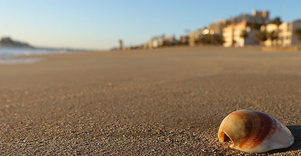 ensam-1.jpg ensam-1.jpg