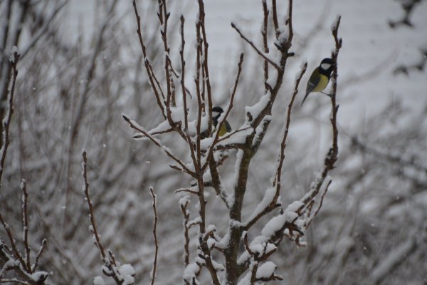 DSC_0032.JPG DSC_0032.JPG