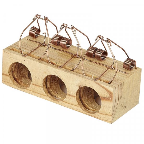 IMG_7530.JPG IMG_7530.JPG