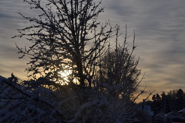 DSC_0034.JPG