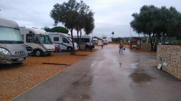 DSC_0203.JPG DSC_0203.JPG