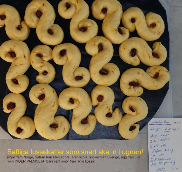 lussekatter.jpg