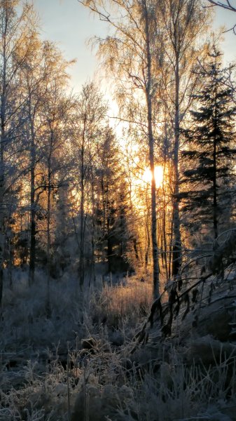 20161215_093711.jpg 20161215_093711.jpg