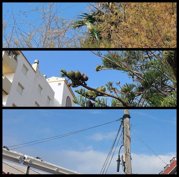 annorlunda natur.jpg annorlunda natur.jpg