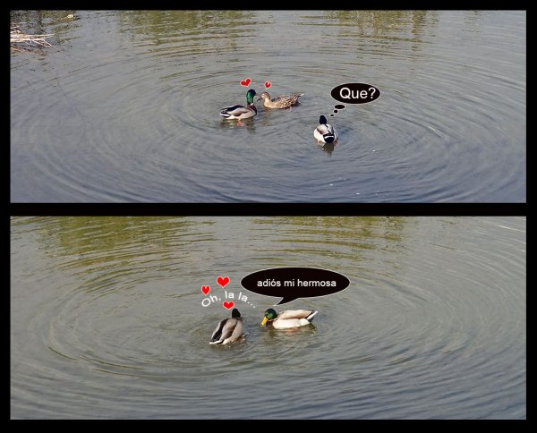 kärlek i luften.jpg kärlek i luften.jpg