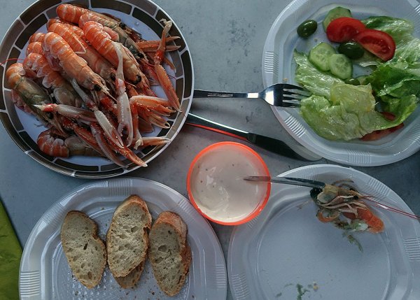 havskräftor emellan.jpg