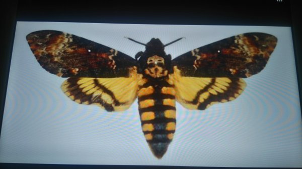 DSC_0213.JPG DSC_0213.JPG