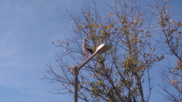 DSC_0221.JPG DSC_0221.JPG