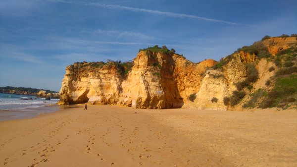 DSC_0236.JPG DSC_0236.JPG