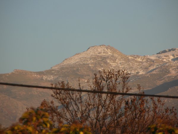 SAM_0320.JPG