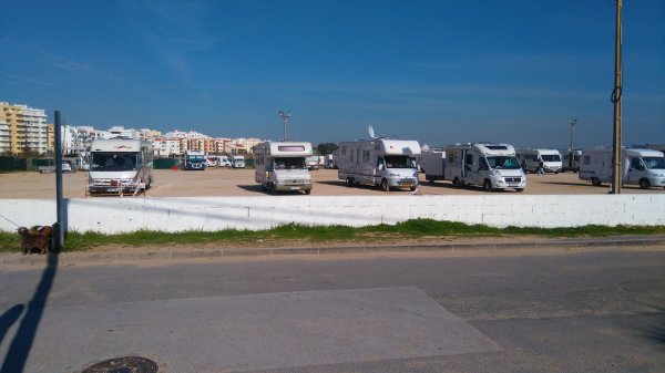 DSC_0261.JPG DSC_0261.JPG