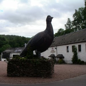 040612  Skottland, Crieff