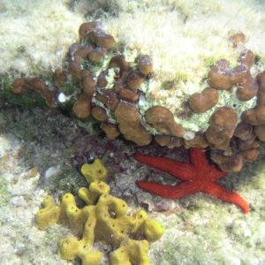 030918 Grekland, Meganesi