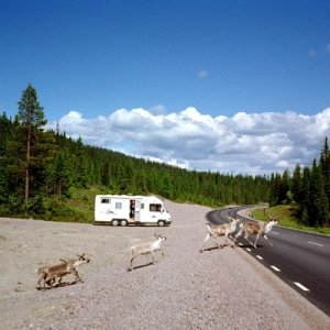 020608 Resan till Nordkap