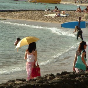 Hawai 304