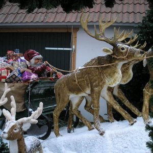 Carina & Gunnars tomtebilder