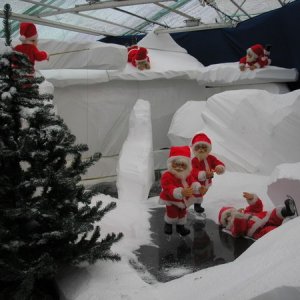 Carina & Gunnars tomtebilder