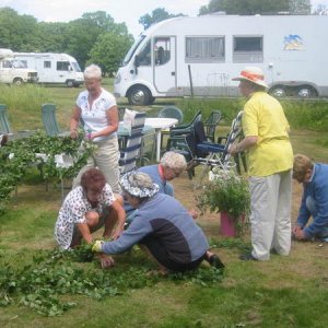 06062302 Midsommar i Hörröd