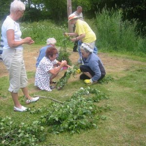 06062303 Midsommar i Hörröd