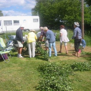 06062305 Midsommar i Hörröd