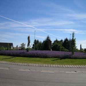 Husbilsemester2005033-400