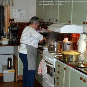 Nyårsträff - fest i Kaxholmen 2006