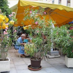 Italien0095