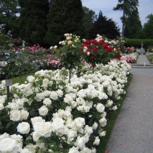 Italien0112