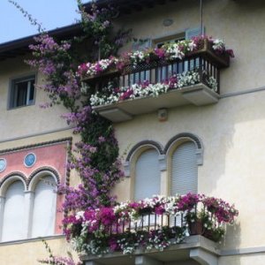 Italien0083