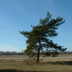 Påsk 2005 på Öland