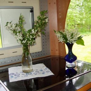 Blommor Sandsjön 2006
