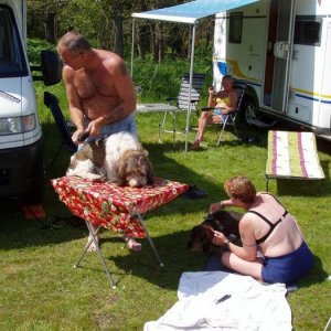Midsommardagen 2006 i Tjuraviken