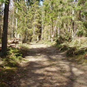 Yxnanäs efter Gudrun