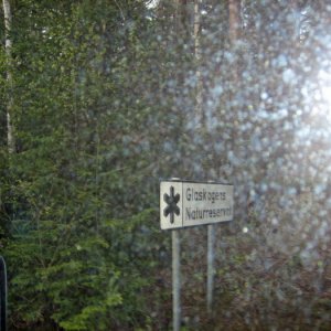 032. Delfin i Glaskogen