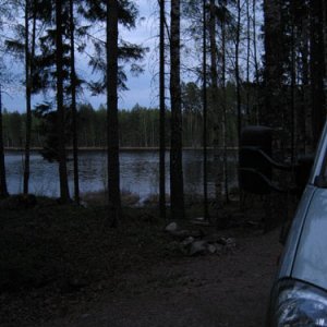 033. Delfin i Glaskogen