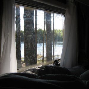 034. Delfin i Glaskogen