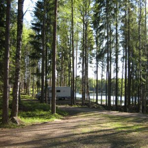 037. Delfin i Glaskogen
