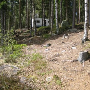 036. Delfin i Glaskogen