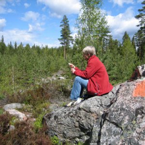 038. Delfin i Glaskogen