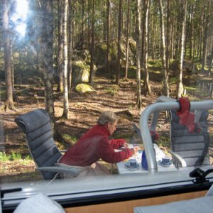 040. Delfin i Glaskogen