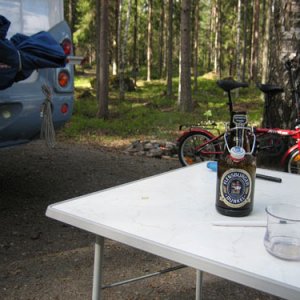 041. Delfin i Glaskogen
